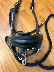 Full Size Black Leather Rose Gold Rhinestone Halter w/ Black Cotton 4ft Lead