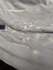 75” Bucas Buzz Off Full Neck Horse Fly Sheet w/Belly Protection – Used