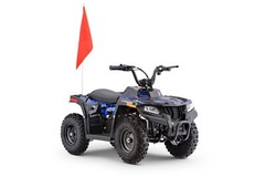 Kids Blue Electric ATV 4-Wheeler Quad 36V 500W Off-Road Mini Ride-On Vehicle