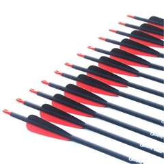 Carbon Arrow 28/30/31 Inches Length Spine 500 with Replaceable Arrowhead