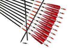 TTFLY FLETCHING 12PCS Red Turkey Feather 31 inches Carbon Arrows Replacement Tip