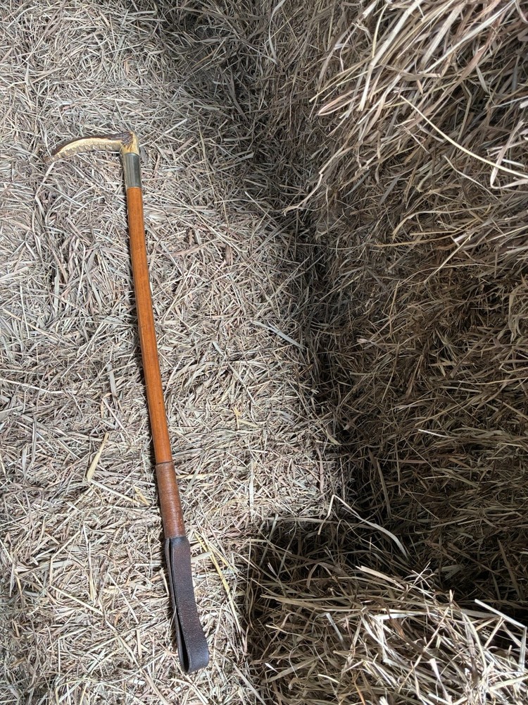 Vintage Fox Hunting Antler Handle Riding Crop