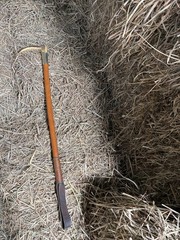Vintage Fox Hunting Antler Handle Riding Crop