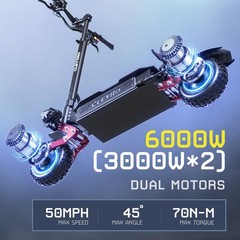 Electric Scooter Adult Folding E-Scooter 3000W Dual Motor 11″ Road Tire 60V 33Ah