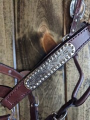 Dark Oil Yearling Show Halter – Congress Cut Silver – Matching Lead Shank