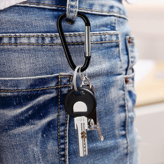 30PCS Aluminum Carabiner Clips, 2″ D Shape Spring Snap Hooks Carabiner with 30PC