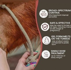 10 Pack in Box Paste Horse Dewormer Apple Flavor1/2028
