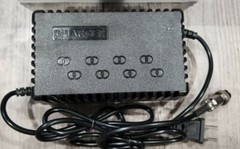 RAZOR e300 e325 and e200 24v 24 volt charger Hi quality