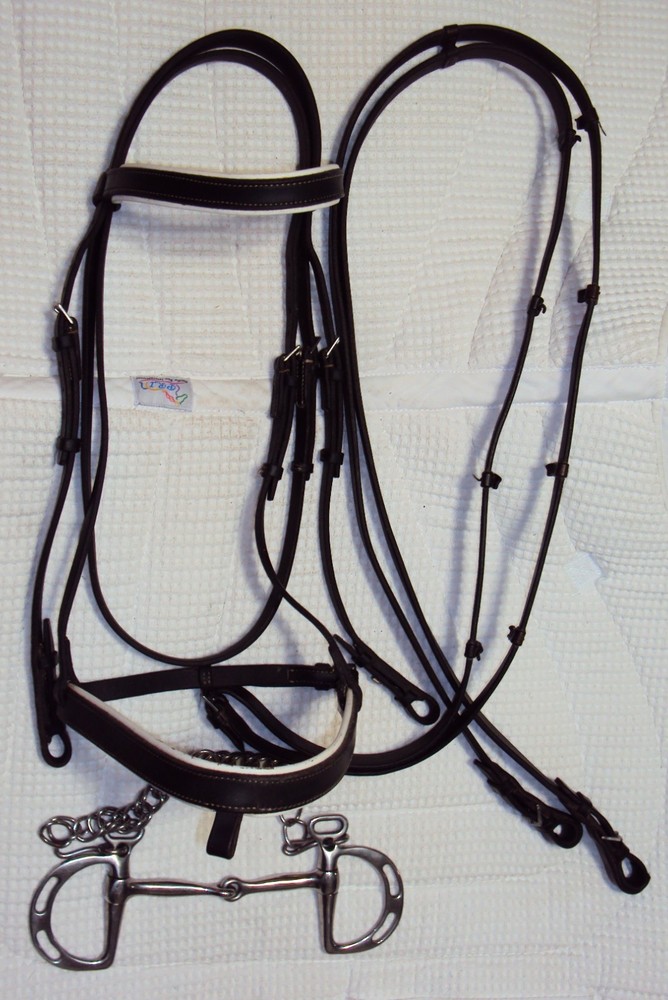 DOVER CIRCUIT Bridle & Bit – PADDED – 2-Tone Black & White – GREAT FREE Reins