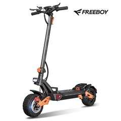 FREEBOY H9 6000W Peak 60V30A Foldable Electric Scooter Dual Motar for Adults US