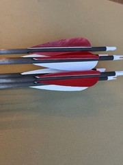 Gold Tip Warrior 500 Arrows, Set Of 6 With Arrow Tube Red Blue Carbon