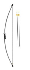 Bear Archery Wizard Youth Bow Set Includes Arrows Recommended 44 in., Grey