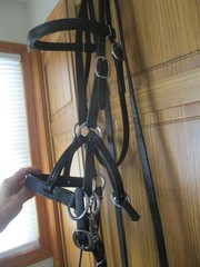 Quality Black Leather Bitless Bridle Sidepull , Loop Reins ,full horse size