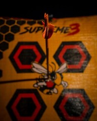 Morrell Yellow Jacket Supreme 3 Archery Target