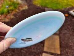 Star Leopard (One of a kind) Disc Golf Innova Swirl w/Halo Rainbow #3646
