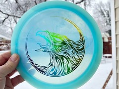 Champion FLAT Firebird Fierce Falcon Disc Golf Swirl Innova Artist Limited #6036