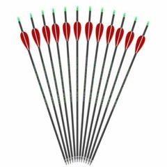 28/30″ Carbon Arrow Practice Hunting Removable Tips for Compound & Recurve Bow