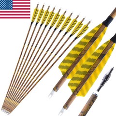 6/12 30″ Carbon Arrows SP500 4″ Feather Compound Recurve Bow Archery Hunting