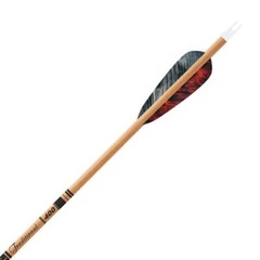 Traditional Carbon Arrows- w/ 4″ Feathers (Random Colors) GOLD TIP