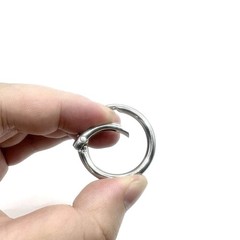 20 Pack 1 Inch Carabiner Clip, Spring O Rings Metal Alloy Purse Clip, Round K…