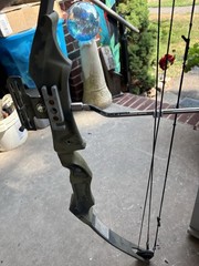 Vintage Bear Whitetail II Compound Bow 30″ Draw Length, 60# Draw, 38″ String