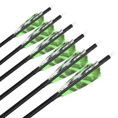 6/12 Pcs Archery Carbon Arrows 500 Spine Practice Hunting Arrows 28/30/31 Inc…