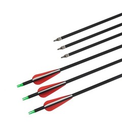 12pcs Archery 30″ inch Carbon Arrows SP500 Outdoor Bow Hunting Practice Target