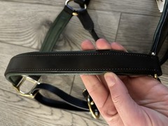 Dover Saddlery Suffolk Padded Leather Halter – Full Horse Size Green Brown