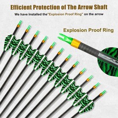 Carbon Arrows 31in for Hunting & Target Practice 350 Spine, 12 Pack with Remo…