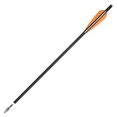 20″ Carbon Crossbow Bolts Arrows OD8.8mm 4″ Vanes Archery Crossbow Hunting 12PCS