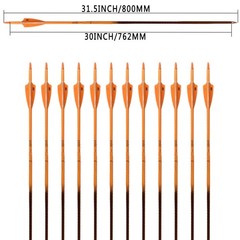 30Inch Carbon Arrows for Hunting Archery Removable Tips Spine 400 with 3“ Van…