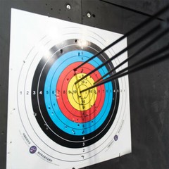 Archery 30″ Fiberglass Arrows Practice & Hunting Quiver for Compound Recurve Bow