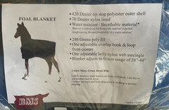 NEW Quilted Adjustable Foal Blanket Royal Blue 420D Water Resistant 28-44″