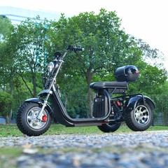 Off-road electric tricycle for adult outdoor use 3000W motor max speed 25-28MI