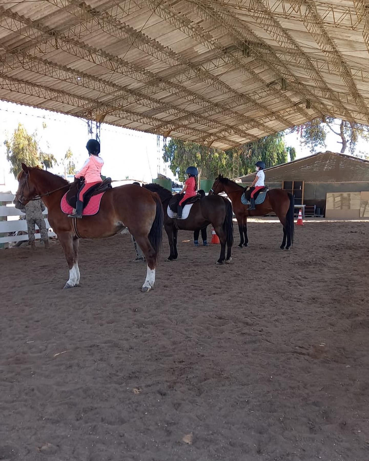 Inicios de la Fundación junto a nuestros caballos